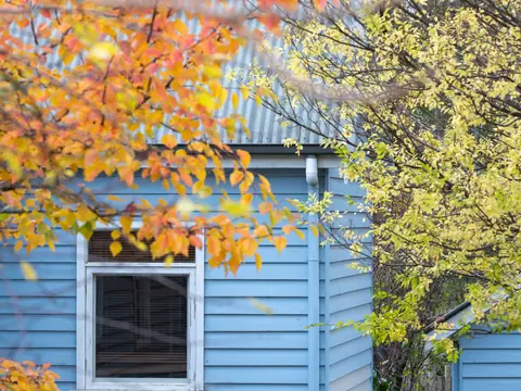 The window of a blue weatherboard house behind autumn leaves